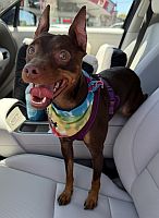 Kona