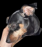 Missy