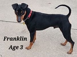 Franklin
