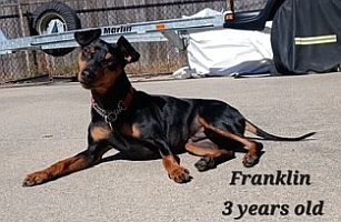 Franklin