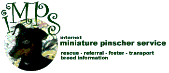 Internet Miniature Pinscher Service