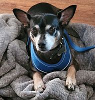Milo