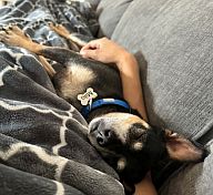 Milo