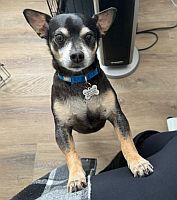 Milo